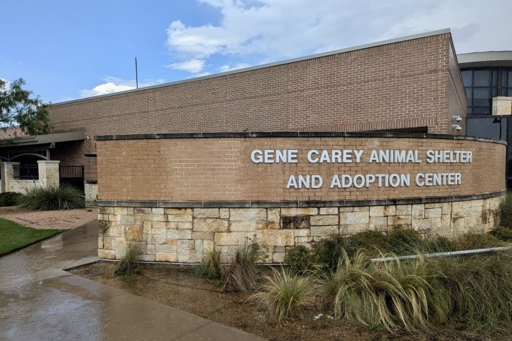 Lewisville city staff takes initial steps on 2024 bond projects