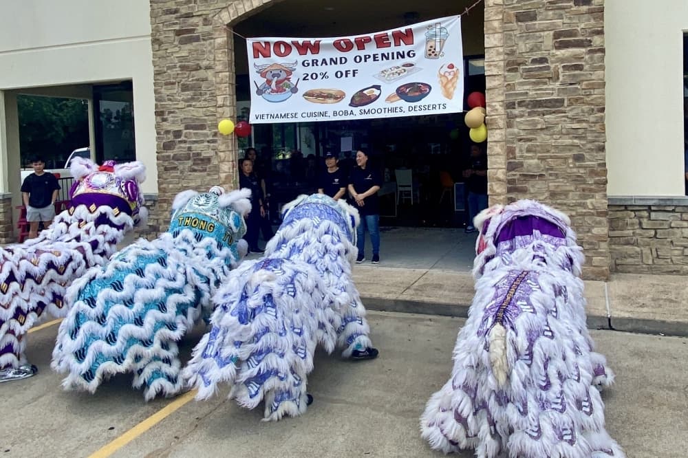 lion dance 