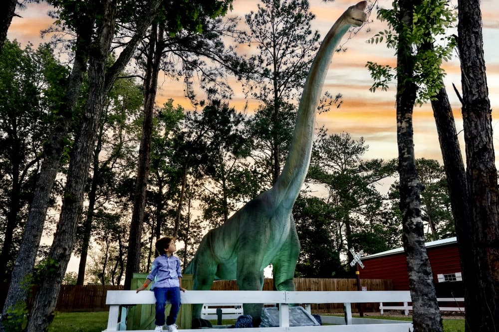 Once Upon a Cowboy brings family-friendly theme park to Tomball