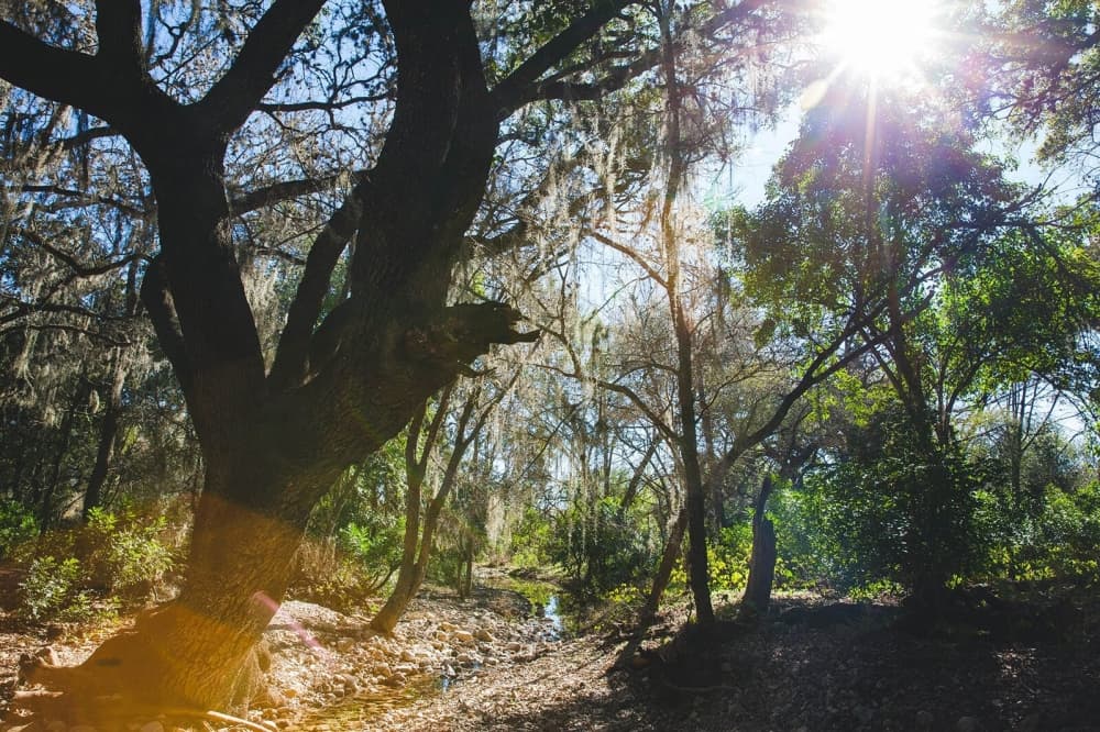 New Braunfels advances Dry Comal Creek Trail plan
