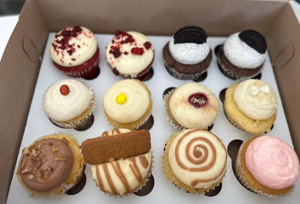 a dozen cupcakes in a box