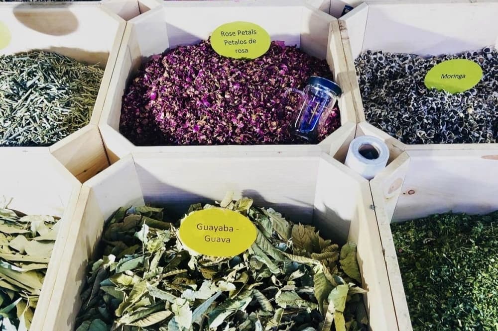 Los Cavazos now offering natural healing remedies inside Deerbrook Mall