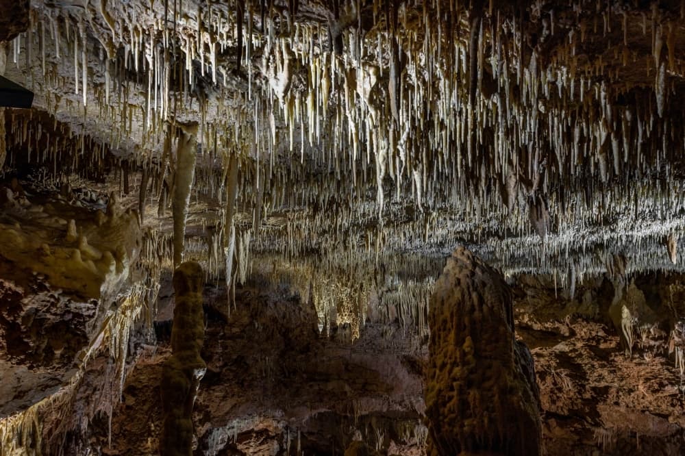 Natural Bridge Caverns celebrates 60th anniversary