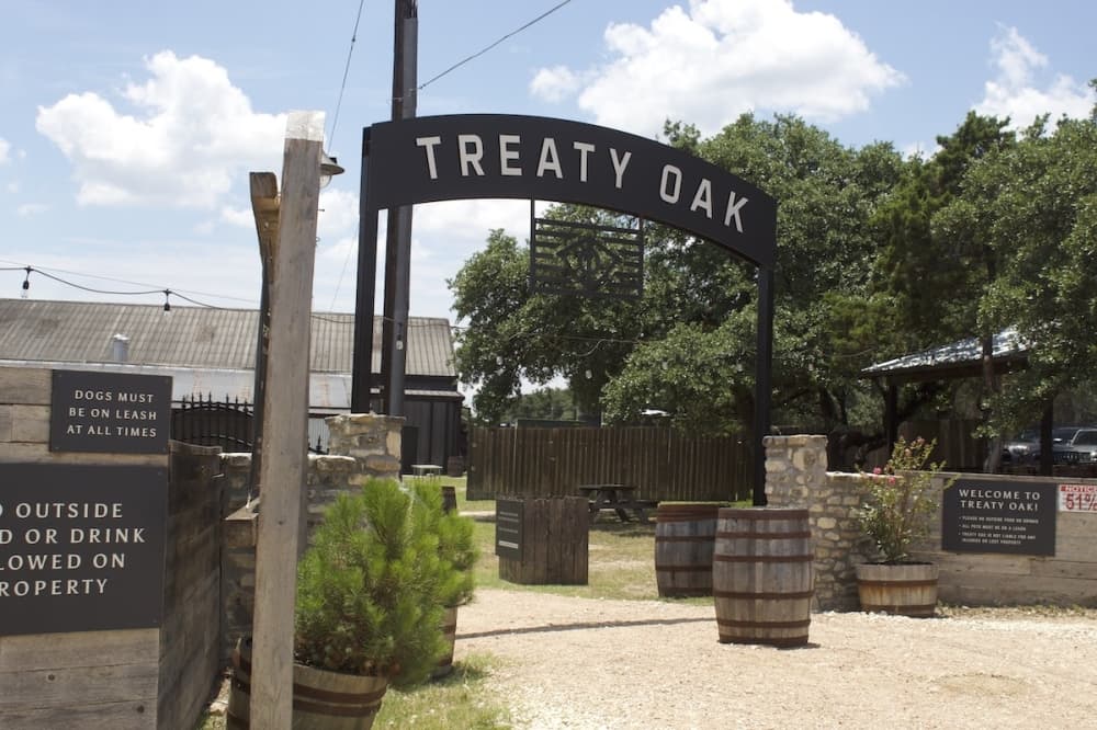 Changes underway at Treaty Oak Distilling in Dripping Springs