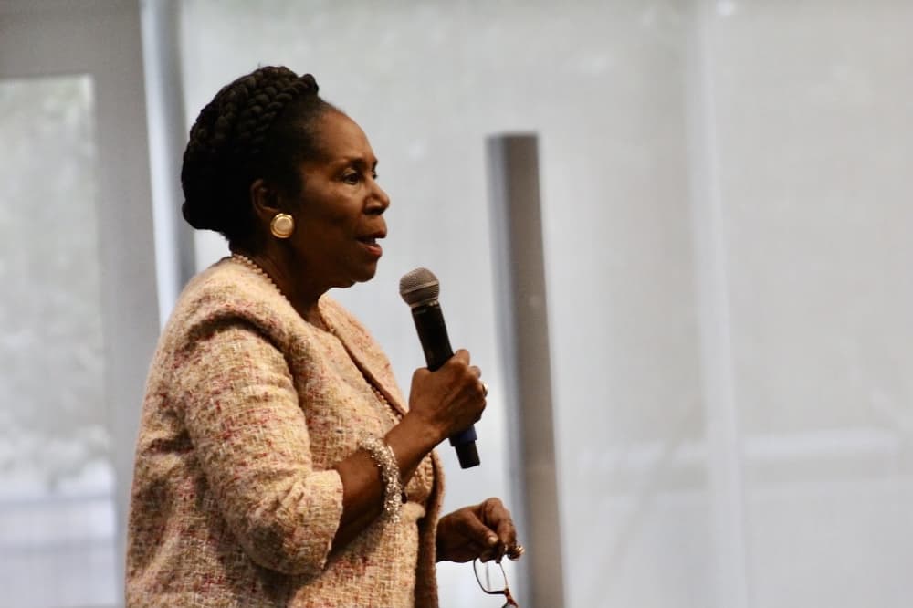 More candidates announce intentions to run for US Congress District 18 to replace late Sheila Jackson Lee