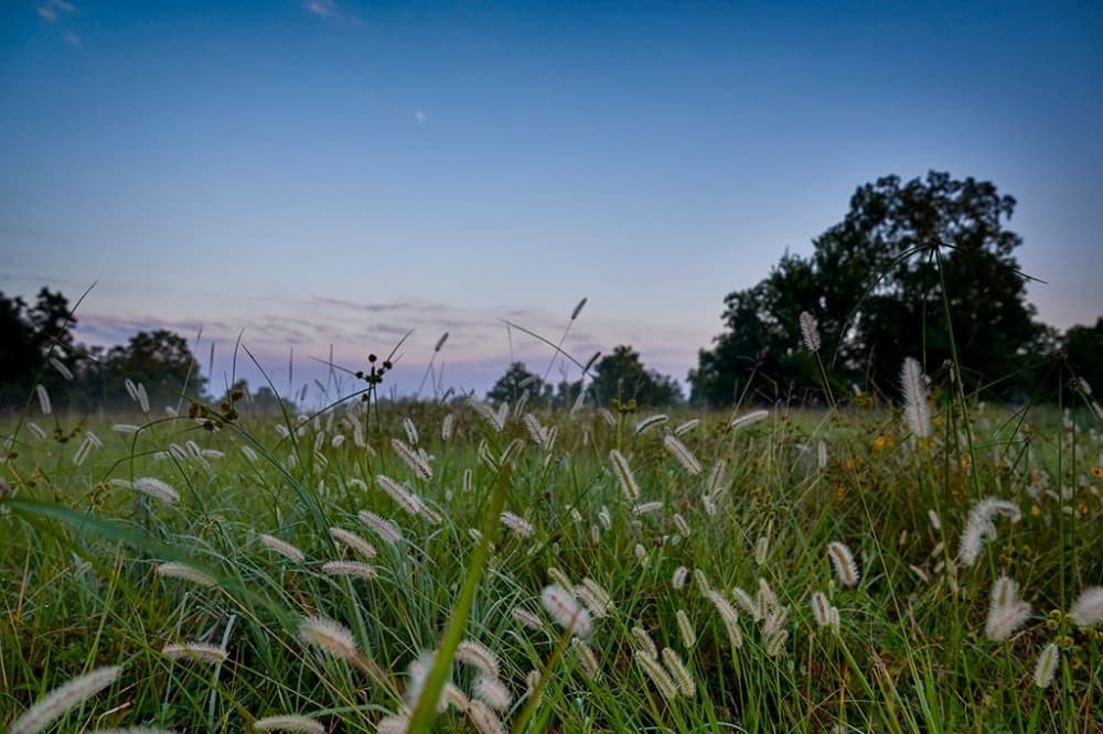 Bergamo to bring 259 single-family homes to north Katy