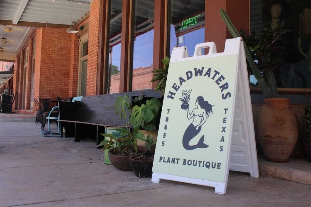 New plant boutique opens in Martindale