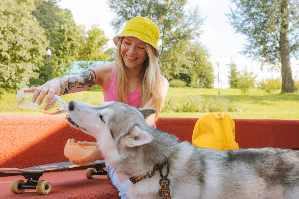 A woman helps her dog drink from a bottle of water at a skate park.