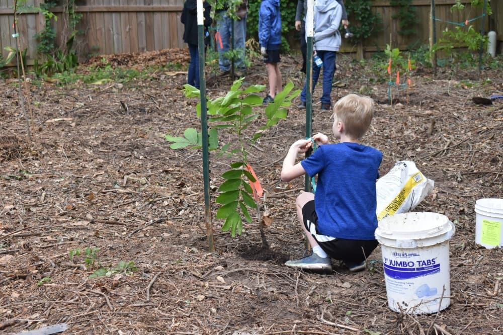 The organization started a new initiative in 2023 called “Students for Kingwood.” The program aims to teach students about the importance of planting trees and caring for the environment, Chambers said. (Courtesy Trees for Kingwood)