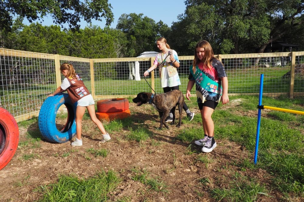 Girl Scouts build dog park for animal shelter in Canyon Lake