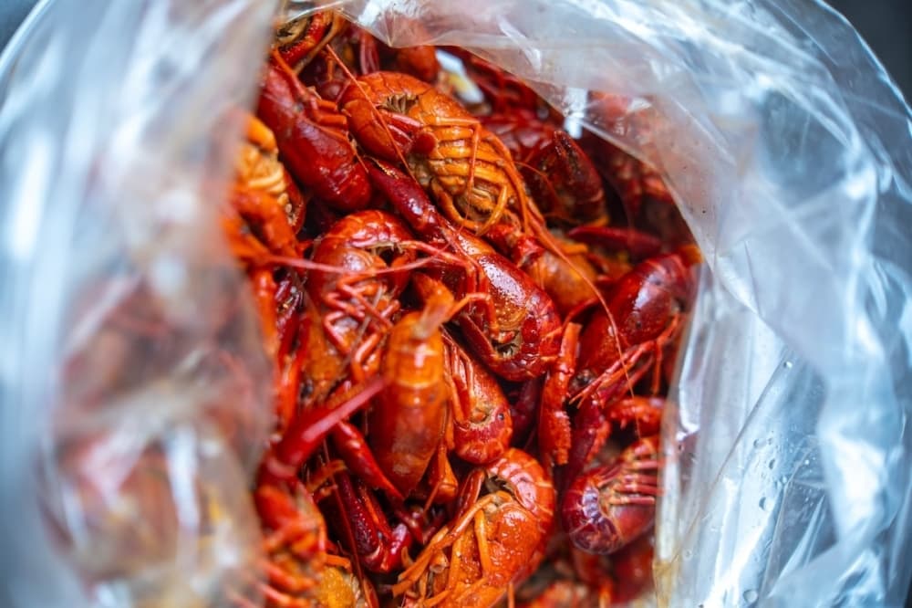 A new dessert shop, seafood restaurant and more updates on Kyle, Buda businesses