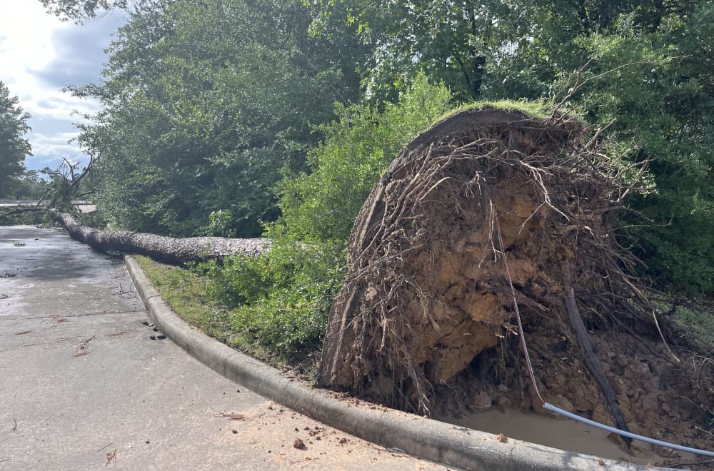 The Woodlands Township looks to 2025 legislative session as Beryl recovery continues