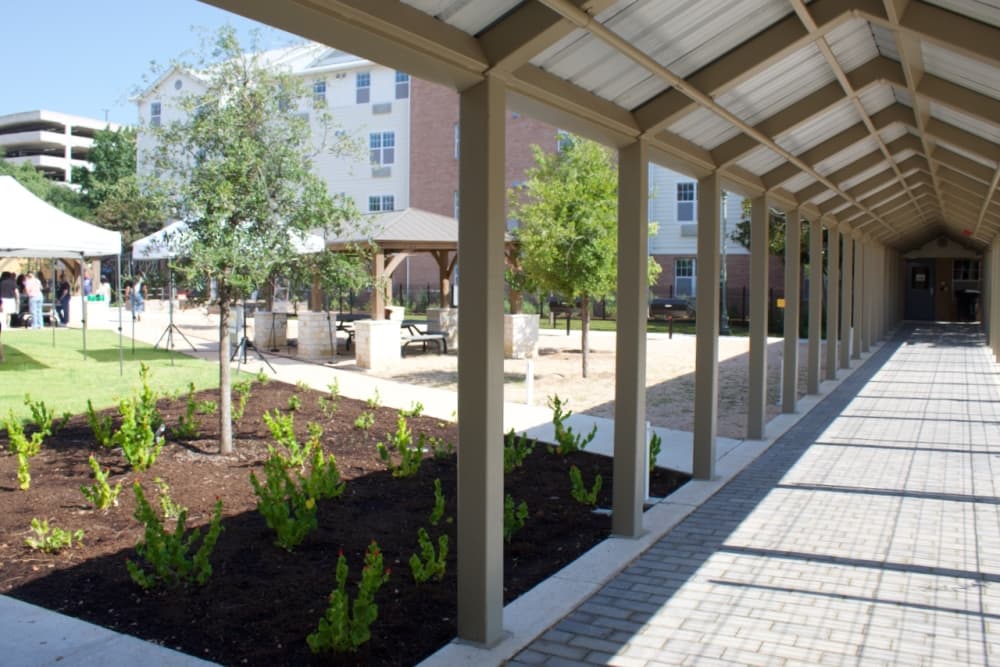  Balcones Terrace lawn