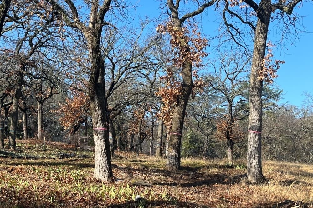 The Bluffs at Colleyville approved by council on 4th attempt