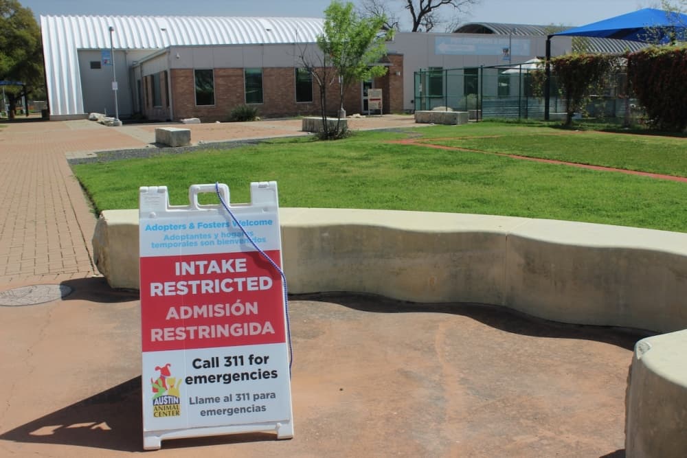 Next city budget could fund more adoption coordinators at strained Austin Animal Center