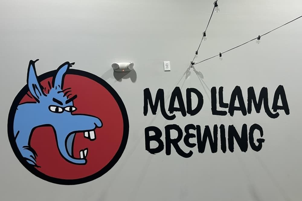 Mad Llama Brewing now serving craft beer at Spring taproom