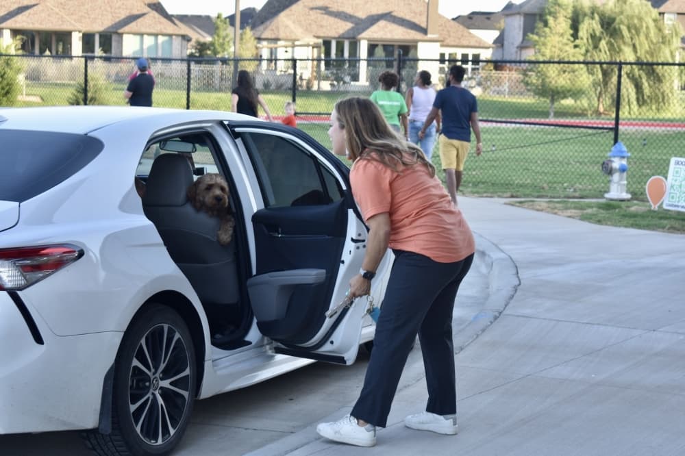 a woman holds open a car door. in the car is a small dog. 