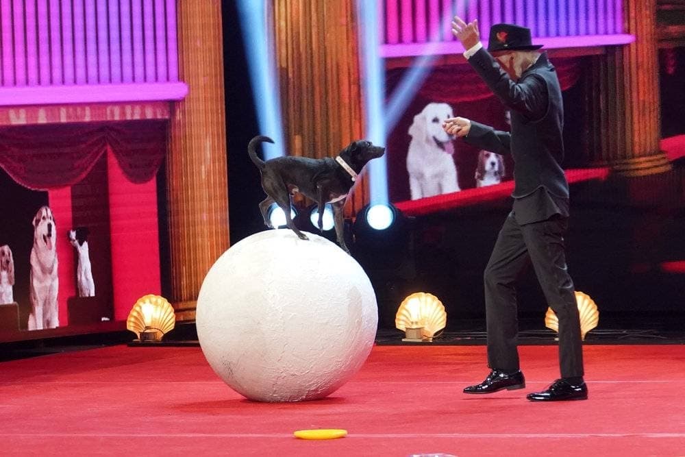 Dog balancing on a ball with a male standing next to him. 