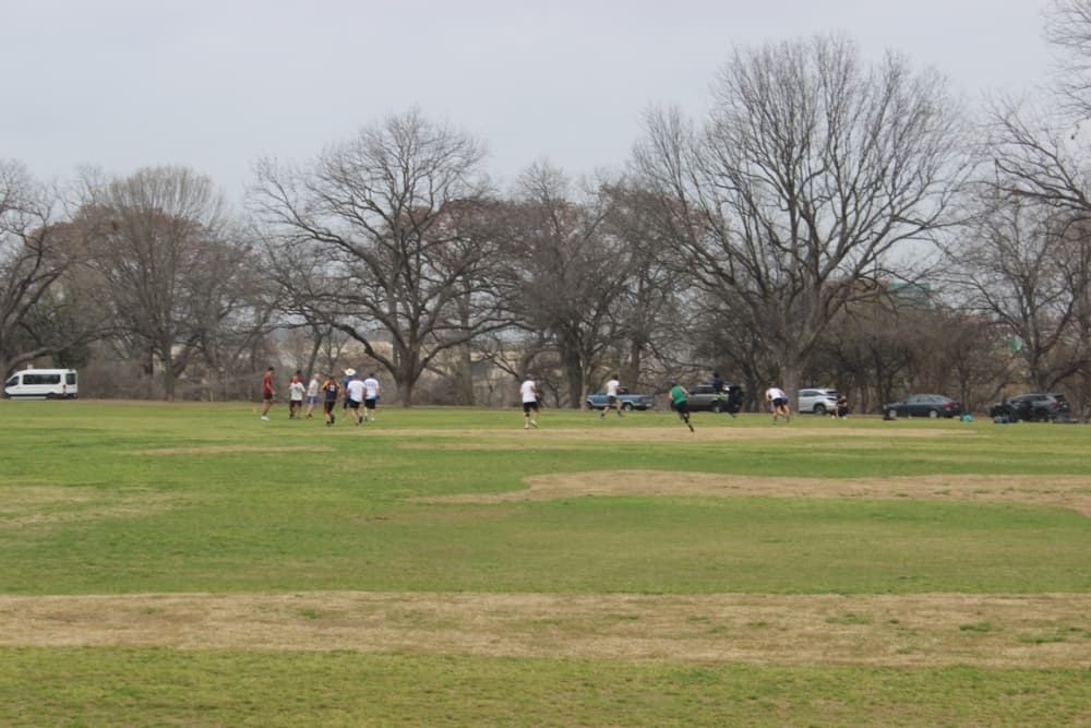 Austin funds more parks maintenance positions to address lagging service levels
