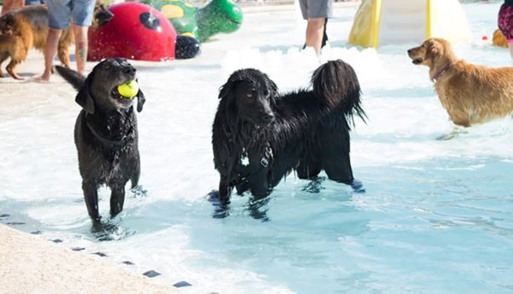 10 events happening in Georgetown Aug. 28-Sept. 30