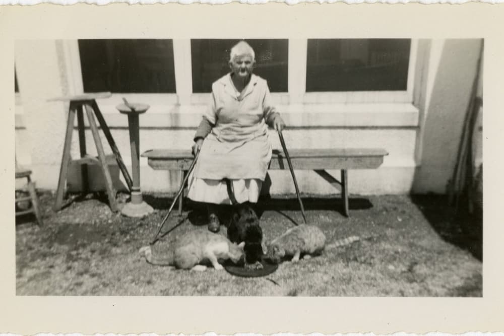 A photo of a Harris County Home for the Aged resident Kate Brieg feeding cats.