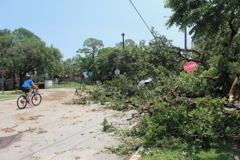 Deadline approaches for Harris County homeowners to apply for derecho disaster exemption