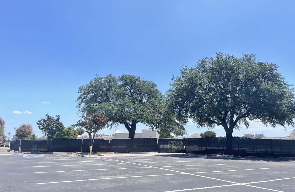 Two live oaks in front of the torn down Arbor Cinema lot on Thursday, Aug. 15, which were protected during the demolition that lasted for two months