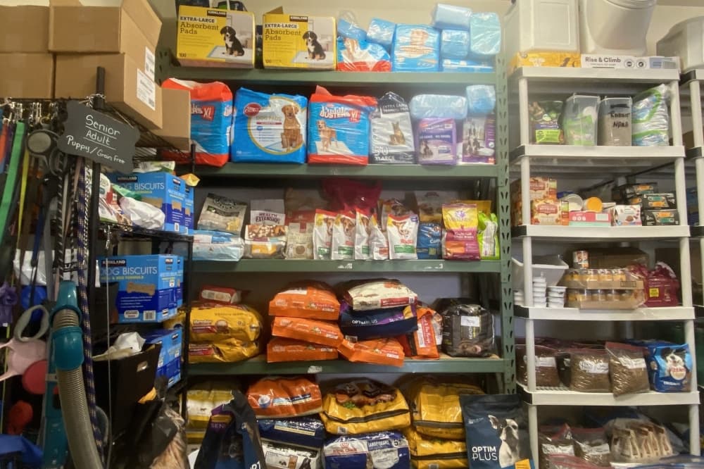 Available items at Furrbaby Food Pantry include wet and dry pet food, dog leashes, harnesses and collars. (Parks Kugle/Community Impact) 
