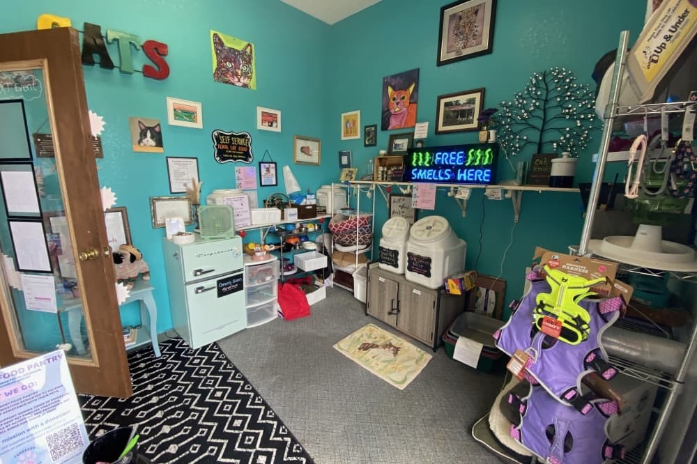 Available items at Furrbaby Food Pantry include wet and dry pet food, cat litter, beds, blankets and bowls. (Parks Kugle/Community Impact) 
