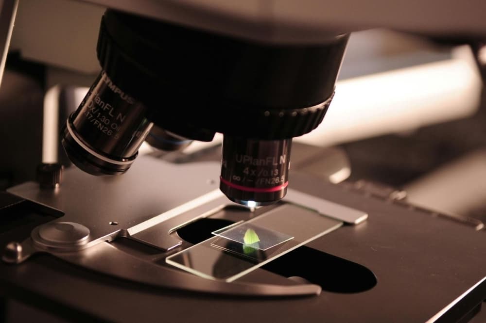 Cancer Prevention and Research Institute of Texas awards $42 million to Houston-area research centers