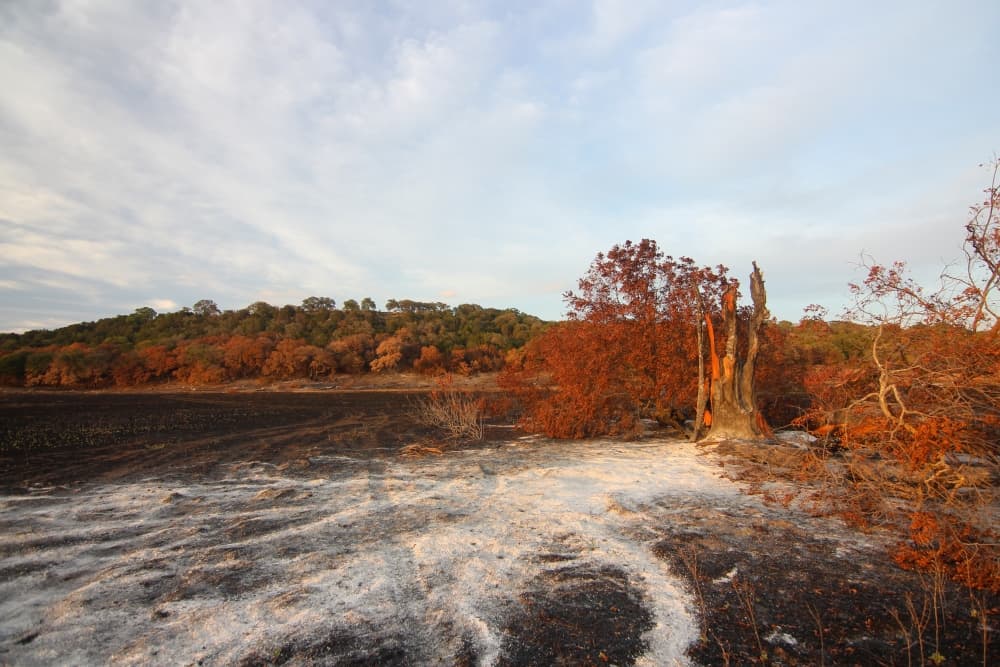 Williamson County burn ban not implemented, up for reconsideration in mid-September