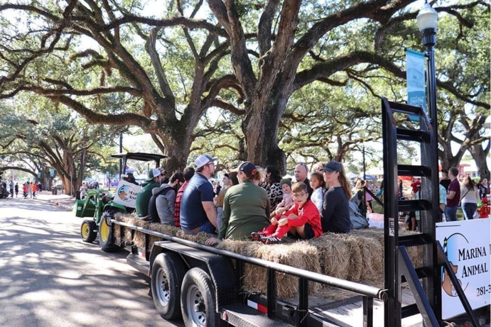Harvest Festival and 5 more things to do in League City in October
