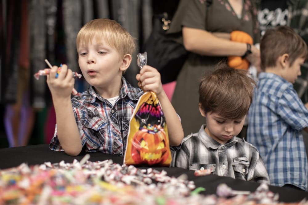 Celebrate Oktoberfest, pick pumpkins: 12 Lake Houston-area events to attend this fall