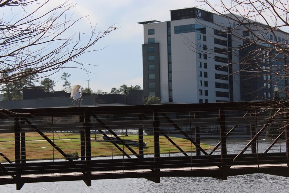 Portion of City Place Marriott hotel ownership acquired by Houston-based developer