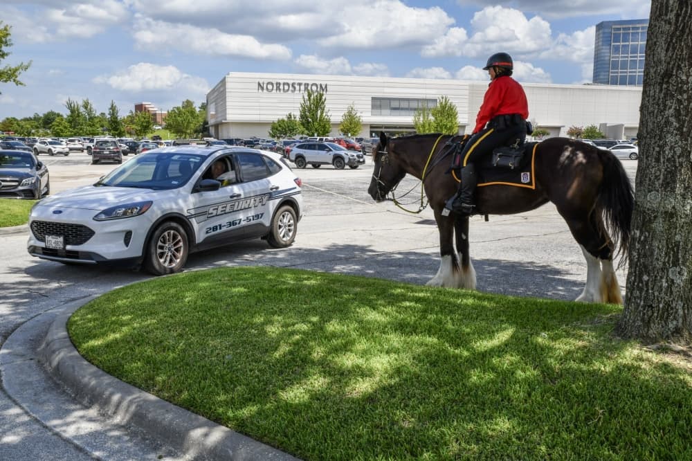 A mounted security officer stands by a security vehicle
