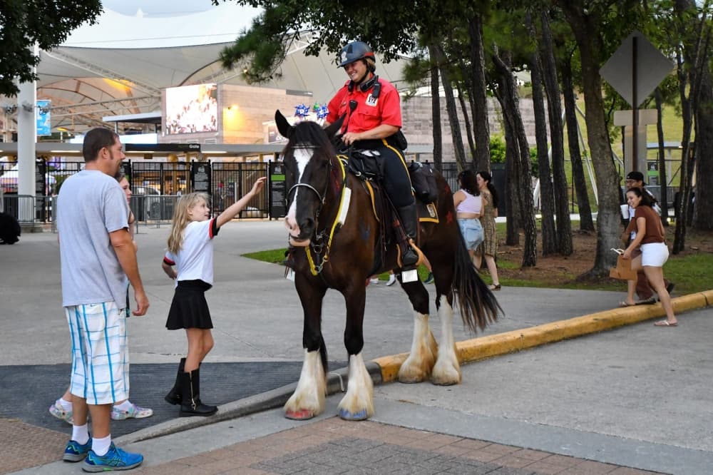 A mounted security officer greets a child