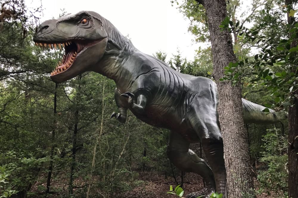Dinosaur Park encourages attendees to step into the Age of Dinosaurs