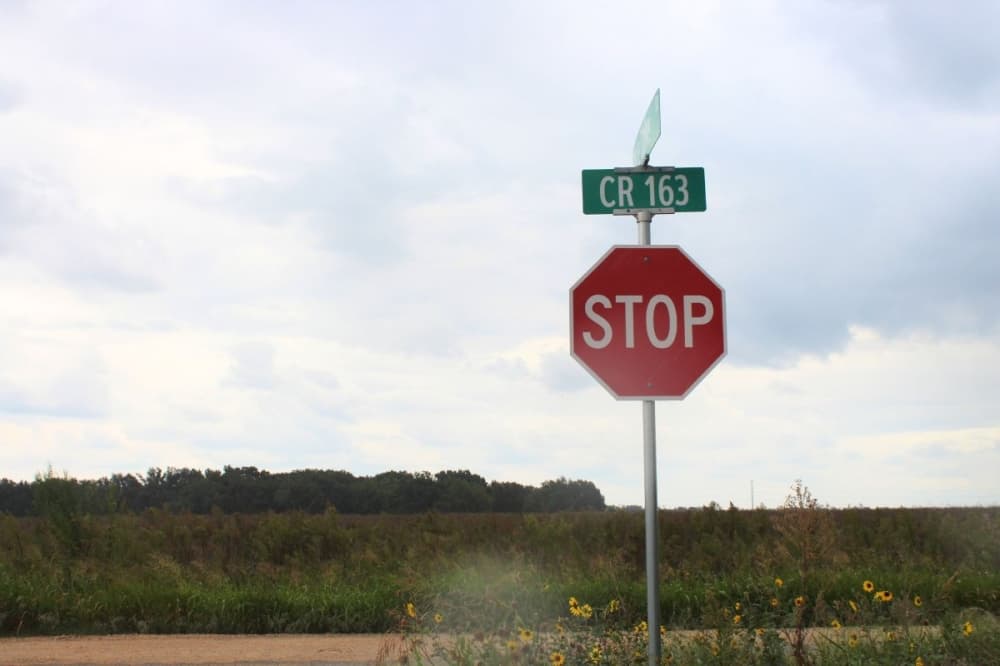 Residential, commercial development up for vote in Hutto