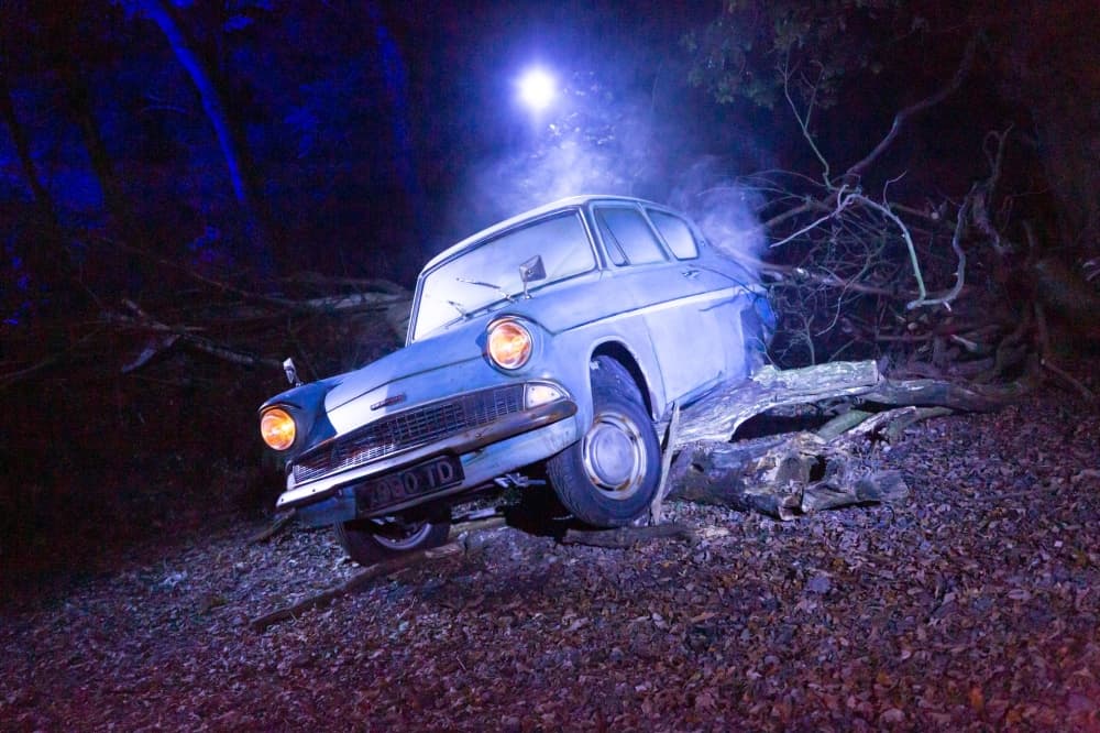 A car is stuck in the woods.