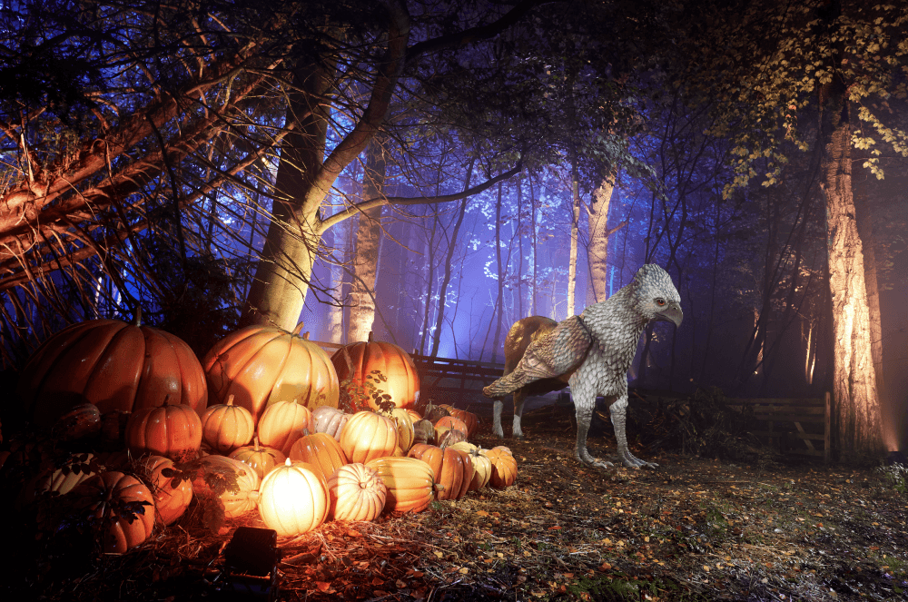 A hippogriff is shown with pumpkins.