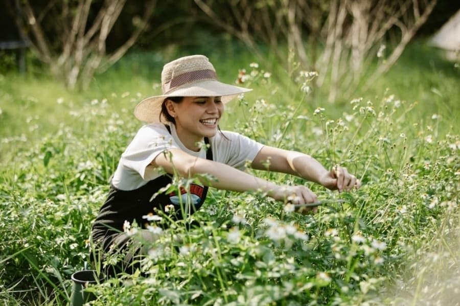 gardening
