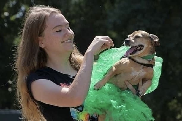 person holding a dog