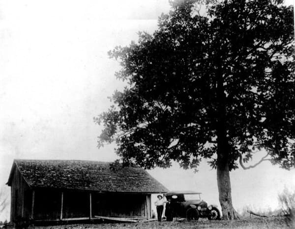 The original owner of the land the tree sits on was a man named James McDade, who built his family home near the tree. (Photo circa 1918; courtesy Montgomery County Historical Commission)