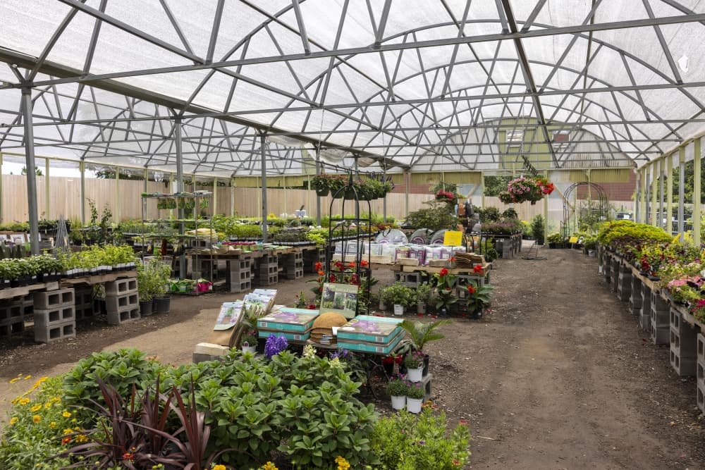 Marshall Grain Co. offers a wide selection of organic, high-quality native plants. 