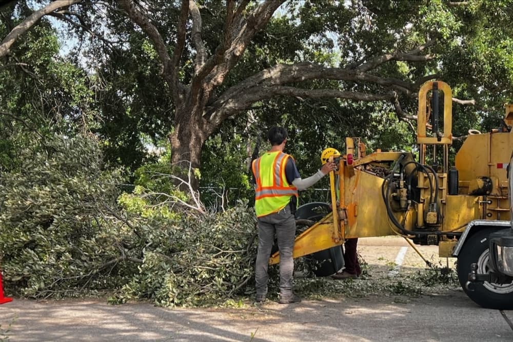 Bellaire, Brays Oaks, West U officials share weather preparations ahead of Tropical Storm Francine