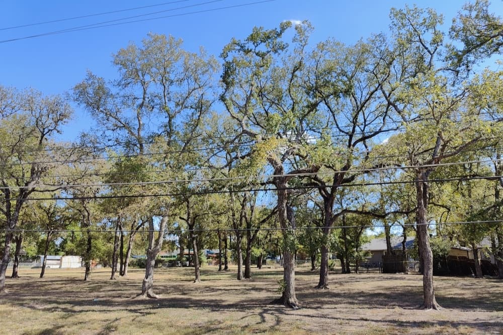 Austin readies for limited parkland growth alongside new development