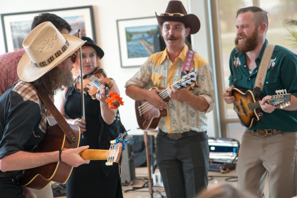 A group of musicians play stringed instruments.