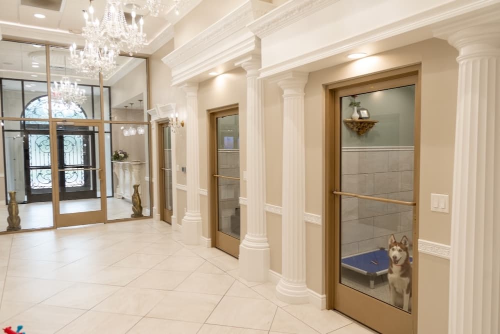 A photo of the facility's interior.