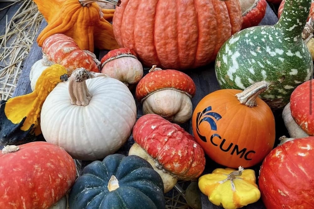 Pumpkins pictured with one that has the Christ United Methodist Church logo painted onto it.