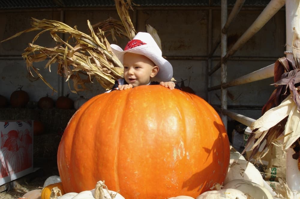 A child sits behind a large pumpkin looking away from the camera. 